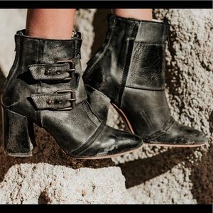 Freebird by Steven , Joey